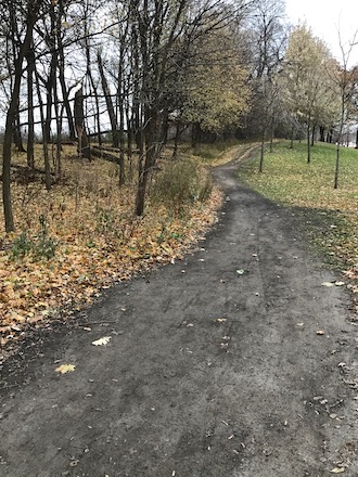 Staying deeply rooted on a path in the woods approaching a fork in the road.