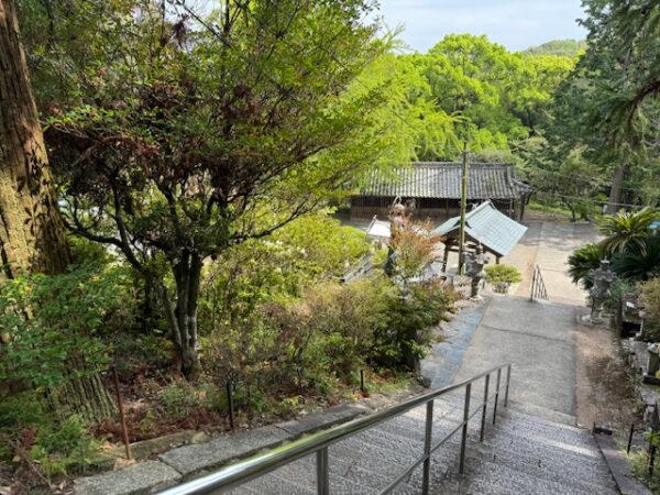 Stone steps leading to temple buildings.