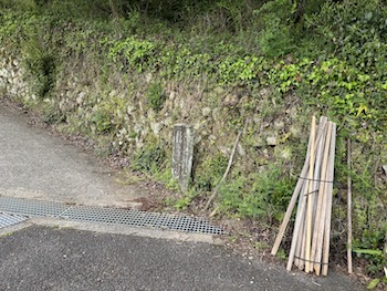 Walking sticks for climbing a mountain.