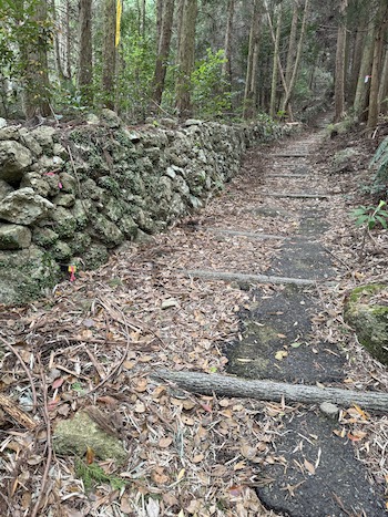 Logs stretched across a path for climbing a mountain.