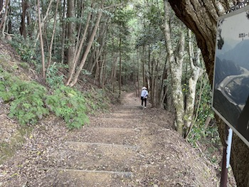 An old henro climbng a mountain.