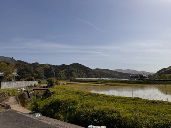 Nice view of the surrounding pond and greenery in the countryside.