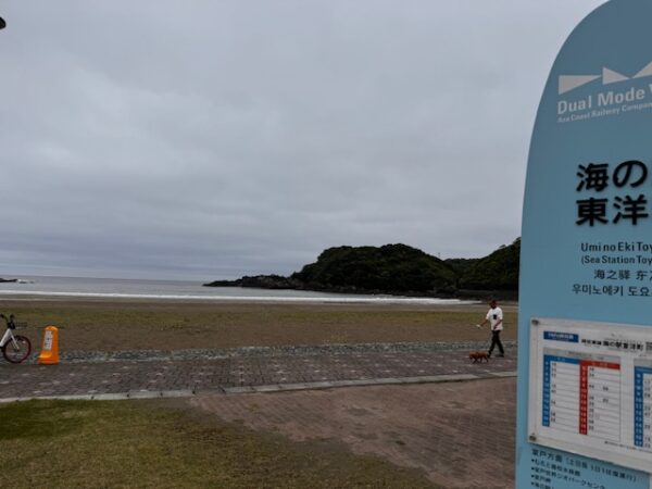 A view of the Pacific ocean from the bus to Muroto.