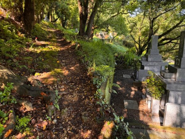 Mountain path to temple 31.