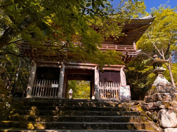 Gate at temple 31.