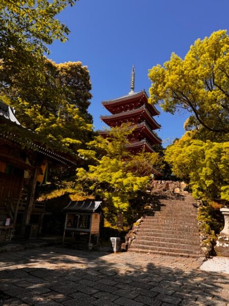 Leaning pagoda at temple 31.