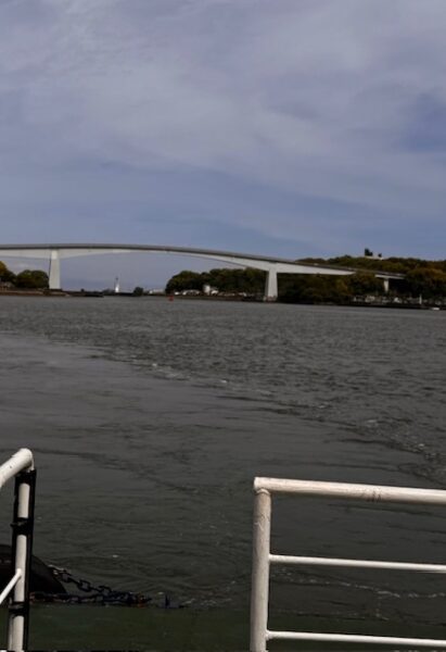 Spectacular view of bay bridge from the ferry.