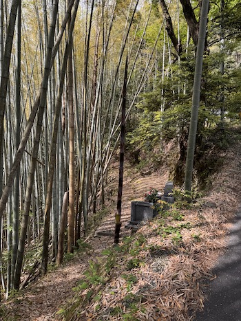 Graveyards confronting asceticism on the trail to a temple on Shikoku 88 pilgrimage.