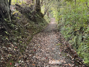 Steep mountain trails are an obvious symbol of asceticism.