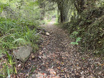 Mountain trails are an obvious symbol of asceticism.