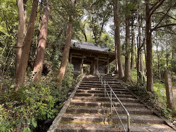 Temple 35 gate and steps.