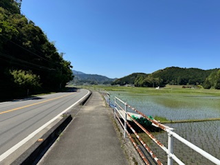 See the road ahead to a temple on Shikoku pligrimage.