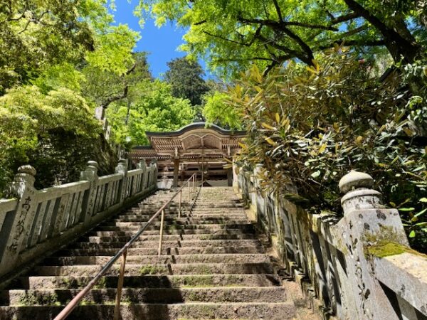 Stone steps at Temple 44.