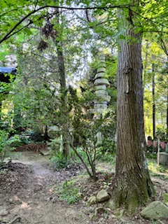 Stretch of forest land featuring old trees and stone pillar.