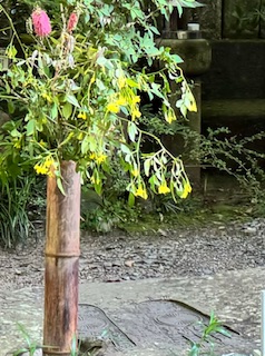 Buddha's footprints on a small stretch of temple grounds.