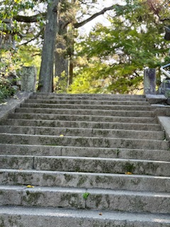 Stretch of stone steps to temple buildings.