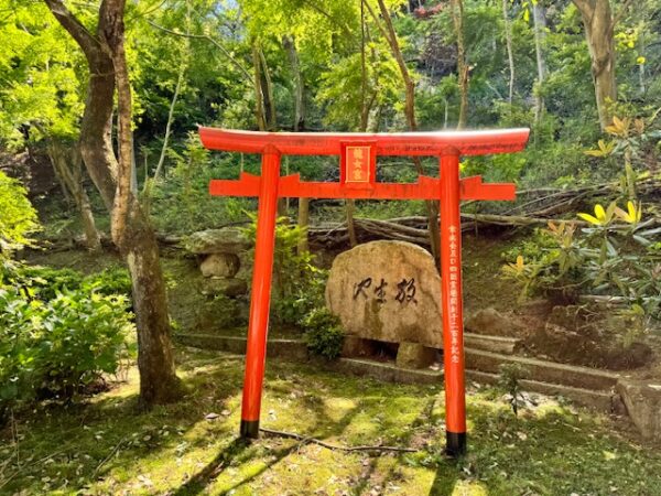 Torii gate on the pilgrimage path.