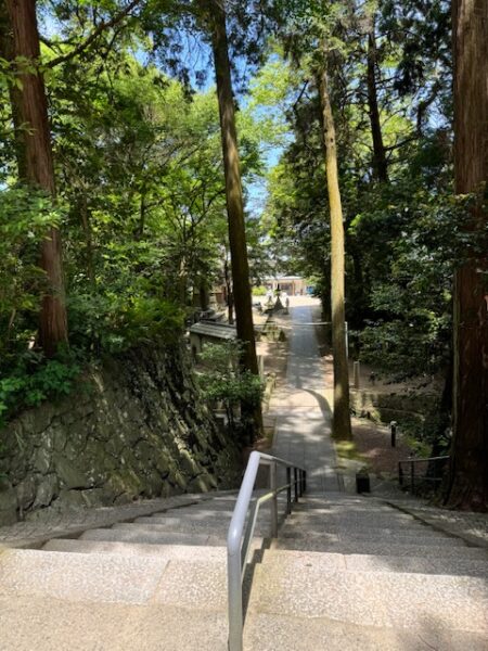 Even steep steps are treasures to opeing the mind on the pilgrimage path.