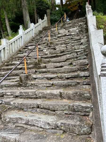 Stone steps leading up temple grounds at Sankaku-ji.