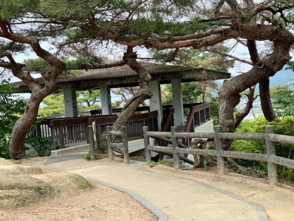 Observation deck covered obscured by big tree branches at Kotohiki Park.