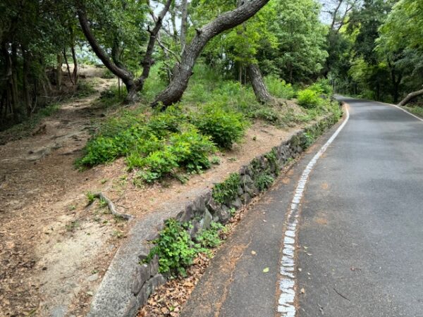 Road leading to observation point in Kotohiki Park.