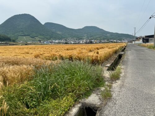 Countryside in Zentsu-ji, Japan.