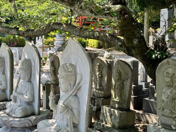 Tombstones and memorial markers along the mairi path on Shikoku pilgrimage in Japan.