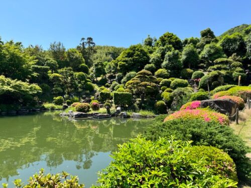 A Japanese garden is a source peace and calm.