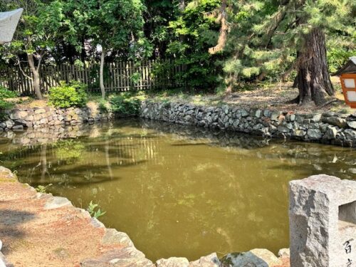 Ponds on the approach to the main hall at Kokubun-ji,home of the 7-storied pagoda.