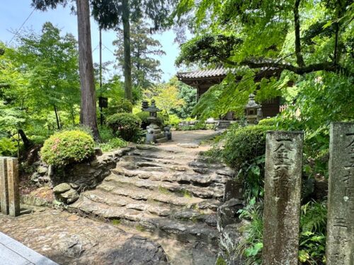 Yakushi-do is an important cultural property at temple 81