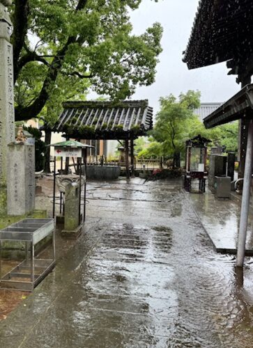 Rain puddles at temple 83.