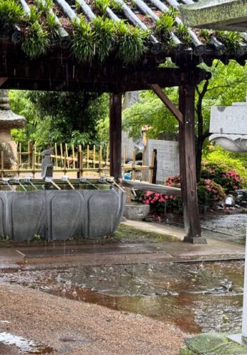 Sparkling rain drops in front of temple fountain.