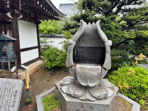 Carved lotus in the rain.