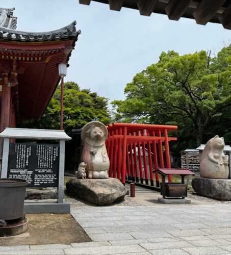 Tanuki at Yashima-ji temple.