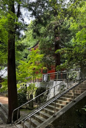 Stairway to the pagoda after the cable car ride.