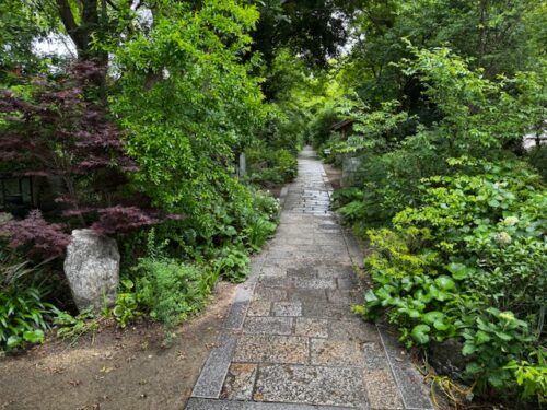 Jungle like appearance of landscape at temple 86 on Shikoku.