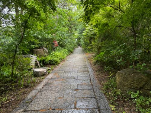 Walkway on jungle like landscape at temple 86 on Shikoku.