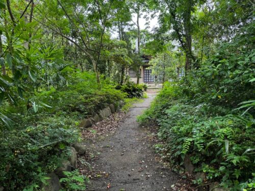 Walkway on jungle like landscape at temple 86 on Shikoku.