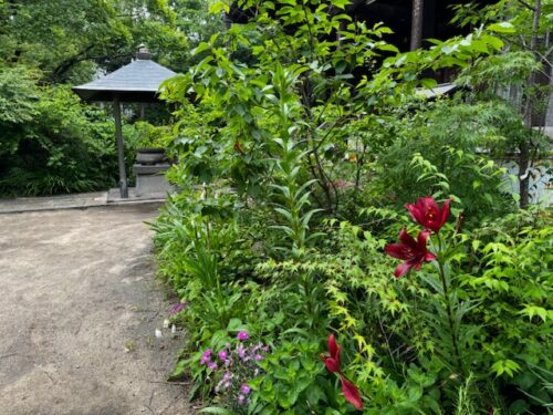 Flowers in jungle like landscape at temple 86 on Shikoku.