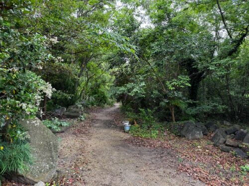 Walkway on jungle like landscape at temple 86 on Shikoku.