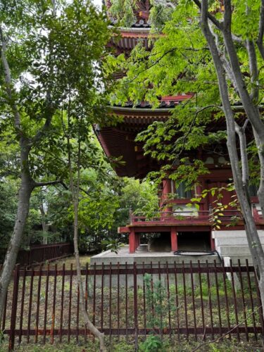 Pagoda in jungle like setting at temple 86.