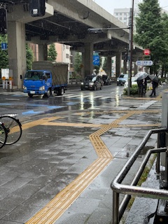 A city street in Tokyo on a rainy day.