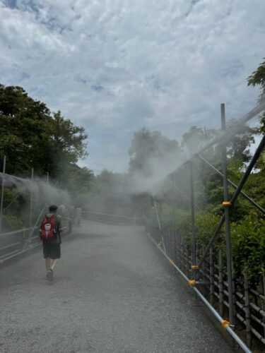 Walking in the mist at Kinkaku-ji temple in Kyoto.