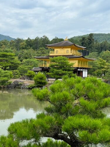 View of the Golden Pavilion in Kyoto, Japan.3