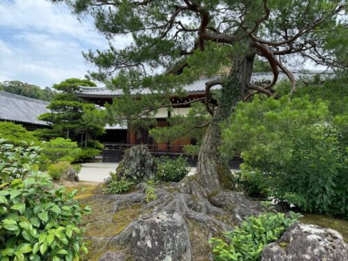 The Golden Pavilion grounds in Kyoto, Japan.