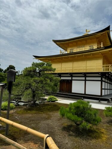 Back views of the golden Pavilion in Kyoto, Japan.