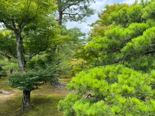 Another view on Kinkaku-ji in Kyoto, Japan.