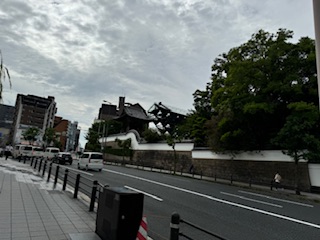 A busy street and buildings in Osaka city.