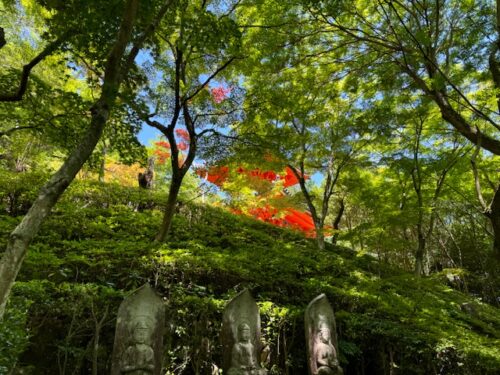 Two-storied red pagoda peeking through trees at Mitaki-dera in Hiroshima.