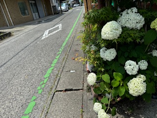 The green line road to Ryozen-ji on Shikoku, Japan.